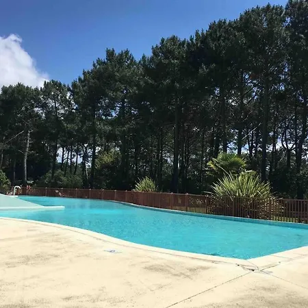 L'oree Des Pins Tropico T2 En Rdc Avec Terrasse Refait A Neuf *